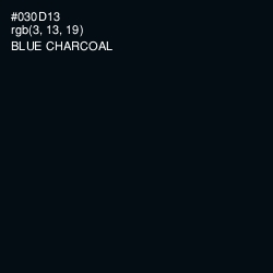 #030D13 - Blue Charcoal Color Image